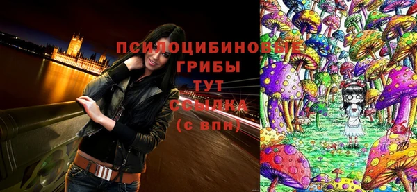 хмурый Белоозёрский