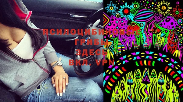 эйфоретик Белокуриха