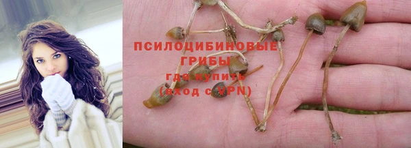 хмурый Белоозёрский