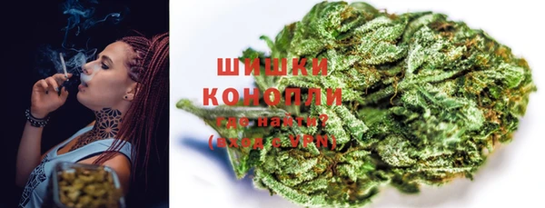 эйфоретик Белокуриха