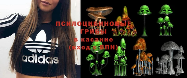 эйфоретик Белокуриха